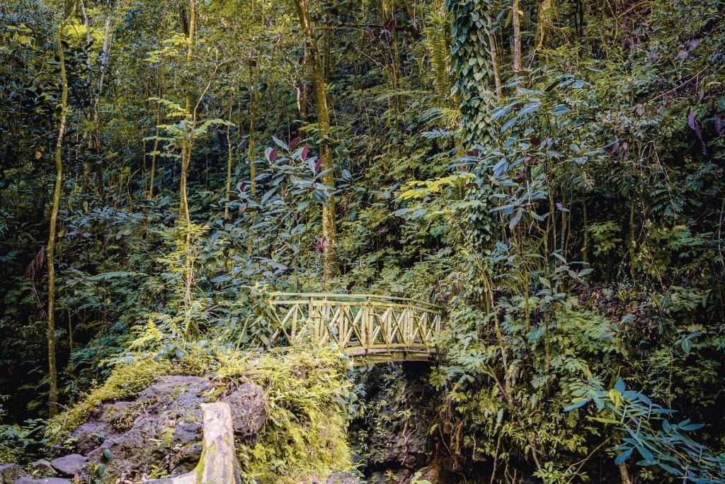 The gorgeous green bridge in Fautaua Valley marks the official trailhead for hiking to Fautaua Waterfall.