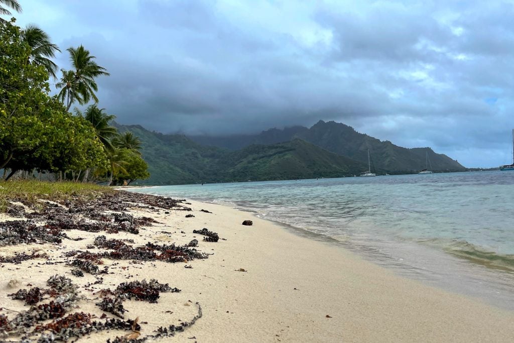 Ta'ahiamanu Beach is a popular public beach. This beach is perfect for relaxing, sunbathing or snorkeling at during your day trip to Moorea.