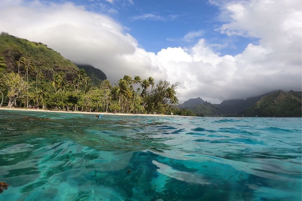 Picture of the turquoise waters and Moorea's mountains while snorkeling at Ta'ahiamanu Beach.