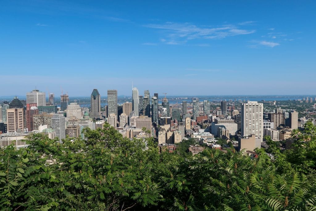A picture of the Montreal Skyline as seen from a viewpoint in Mont-Royal Park.