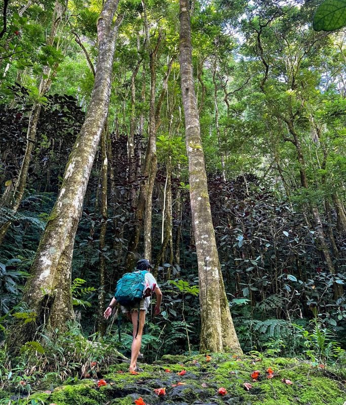A picture of Kristin hiking. If you plan on hiking during your vacation in Tahiti, don't forget to pack a small backpack to easily transport your stuff.