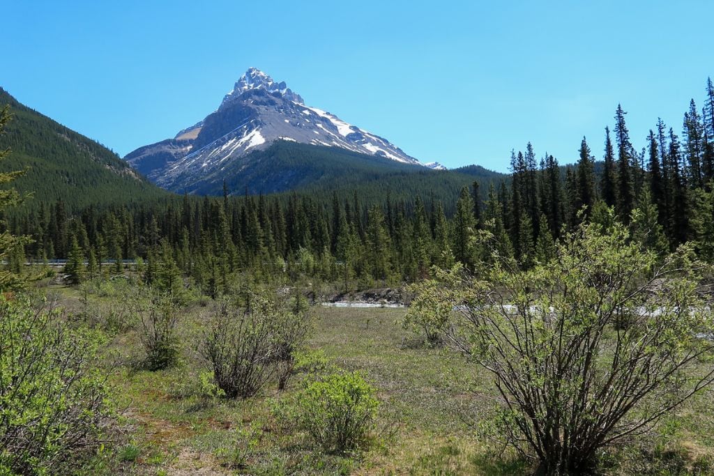 A picture of the view at one of the turnoffs along Icefields Parkway. Driving along Icefields Parkway is  something you'll definitely want to make time for during your 4-Day Banff Itinerary.