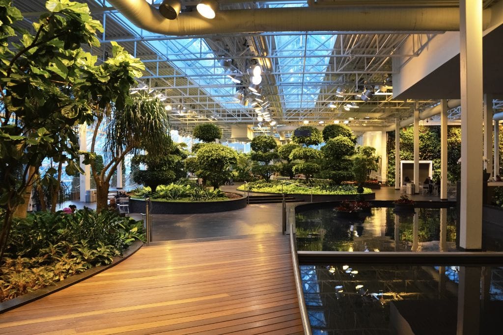 A picture of the Devonian Gardens inside the CORE shopping center. Stopping by here is a must stop on your one day tour through Calgary.