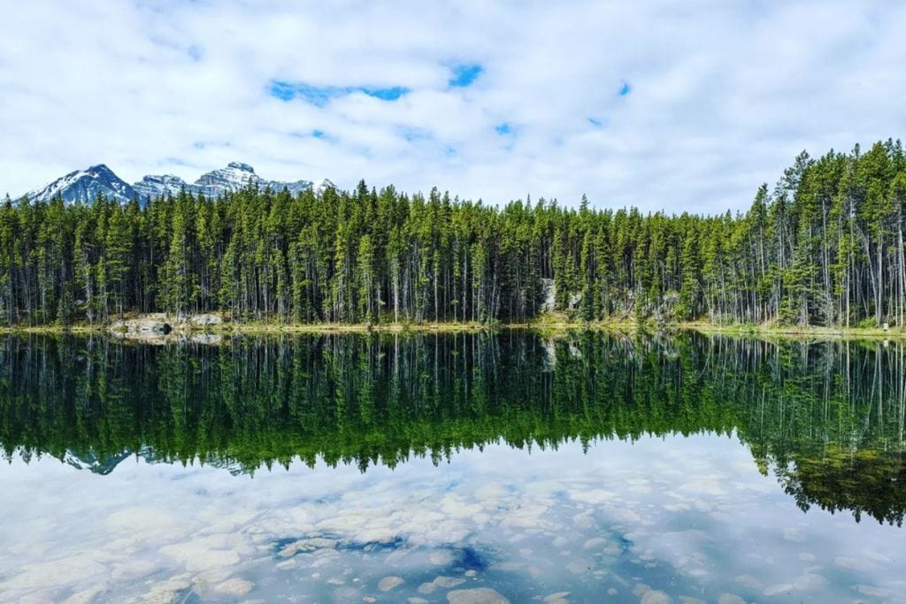 A picture of the highly reflective Lake Herbert, which is the final stop on the travel guide to Banff. This lake is considered a hidden gem as not many people stop here.