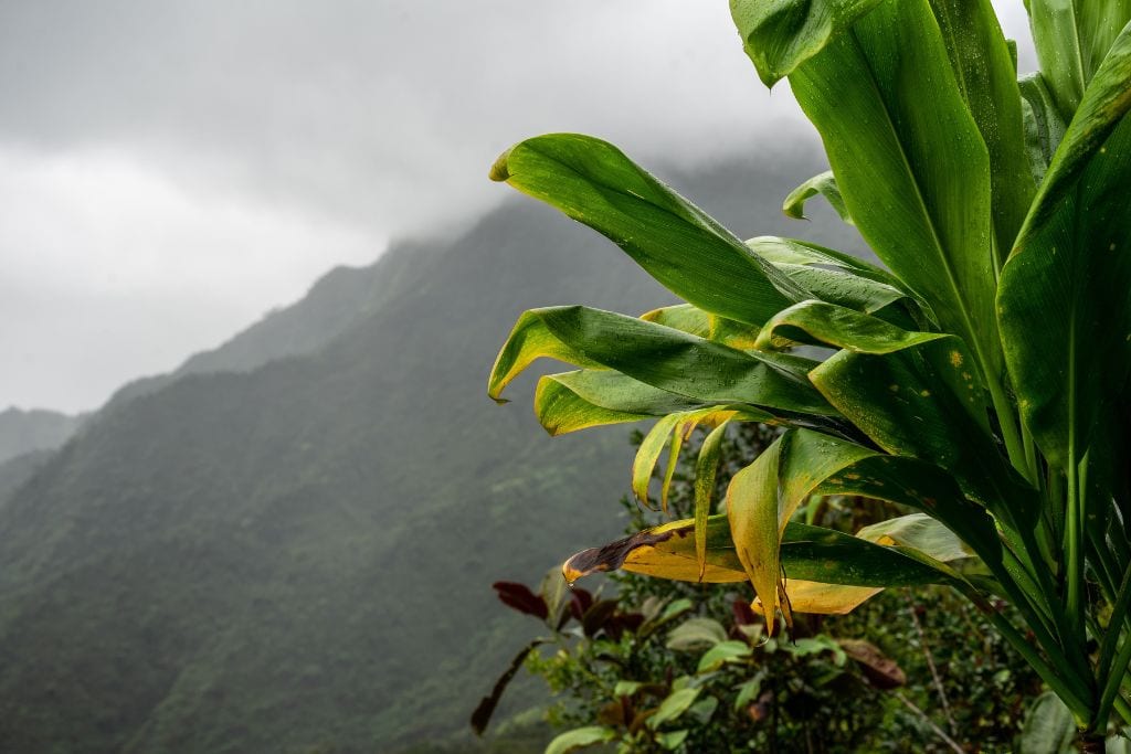 A picture of the dark rain clouds looming over the Tahitian mountains. You will want to pack a rain jacket to avoid getting drenched during your time in Tahiti.