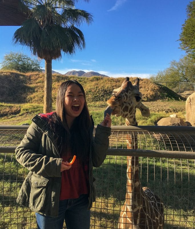 Picture of Kristin feeding a giraffe at the Living Desert Zoo and Gardens a carrot.