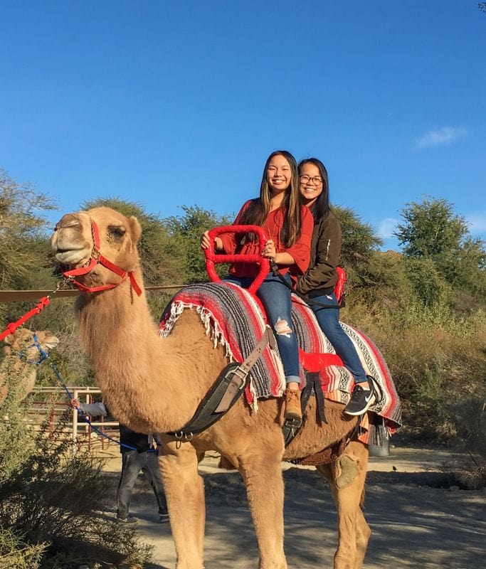 Kristin and her friend riding on the back of a camel at the Living Desert Zoo and Garden. They no longer offer this attraction, but it may come back in the future!