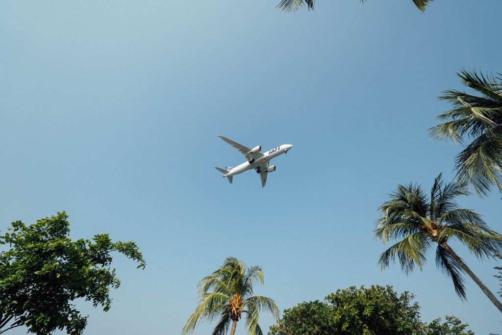 A picture of a plane flying above palm trees