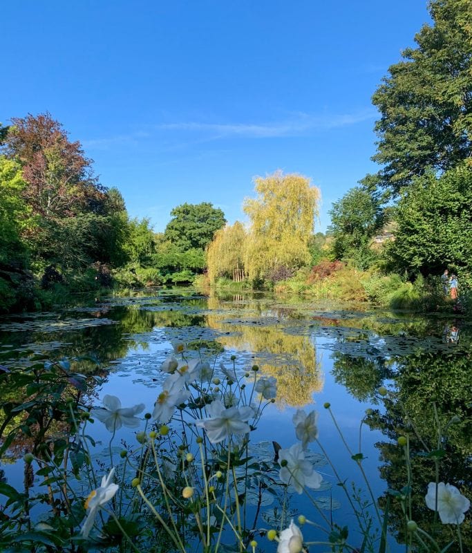 Another picture of the lily pond at Monet's home and gardens.