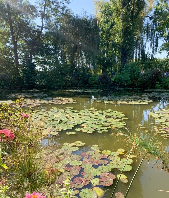 A picture of the lily pond at Monet's home estate. One of the best reasons why Paris is worth visiting is because of its perfect location for day trips.