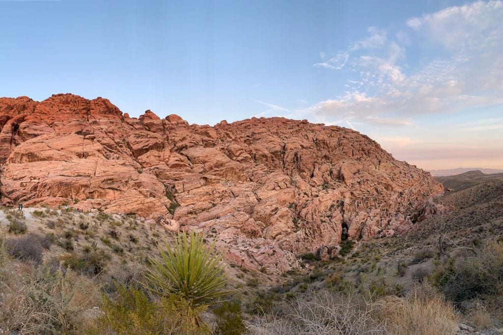A picture of some of the Aztec sandstone at Red Rock canyon with green desert plants in the forefront.