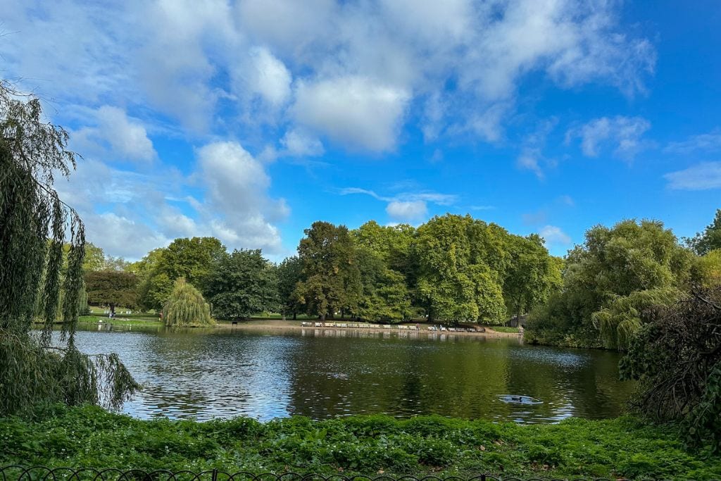 A picture of pond with ducks and lots of green trees in St. James Park