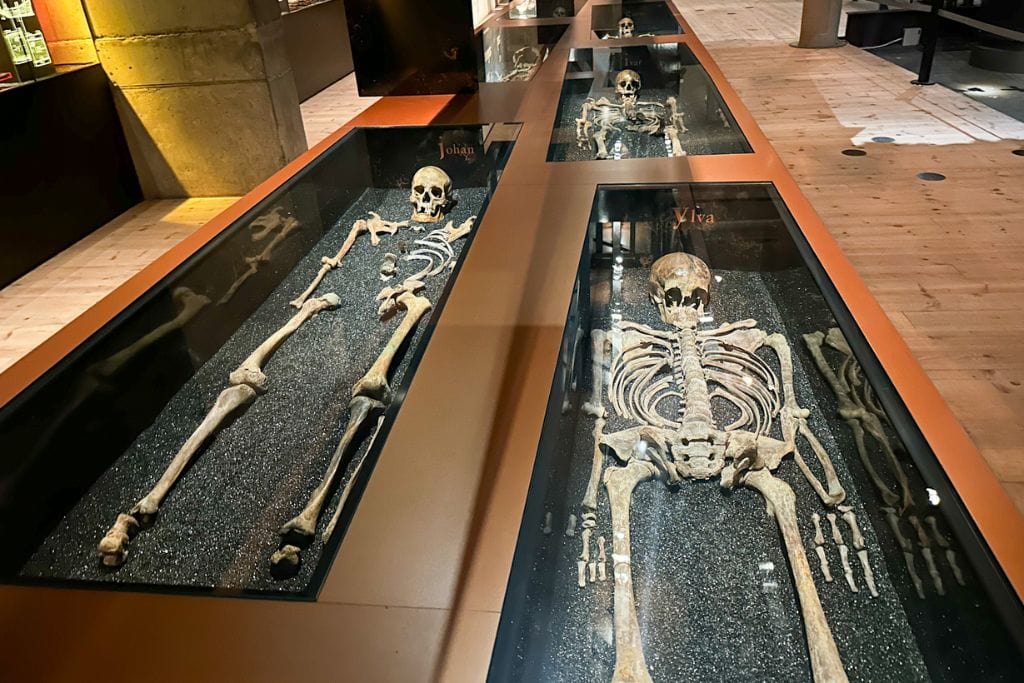 A picture of the skeletons of some of the victims that can be seen on the second floor. Viewing these real pieces of history up close was one aspect of the Vasa museum that made visiting especially worthwhile. 