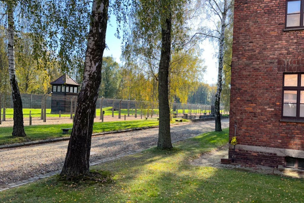 A picture of the two fences that enclose Auschwitz I camp with a watch tower in the distance