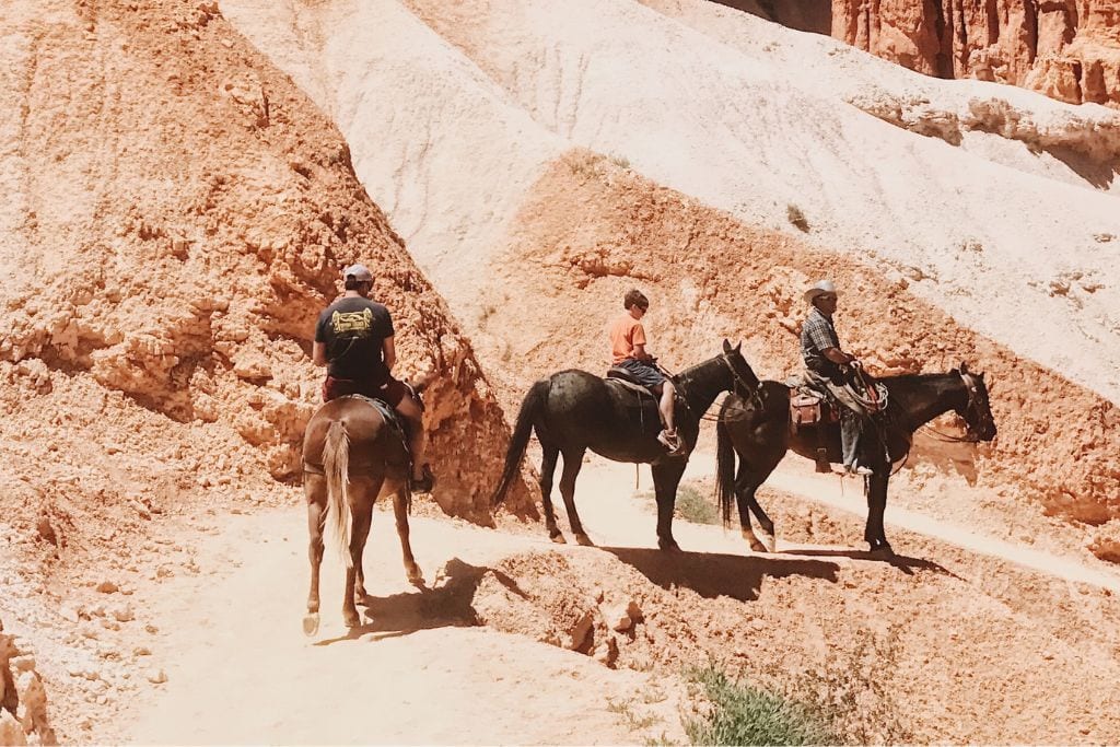 A picture of three people riding horses through the canyon.