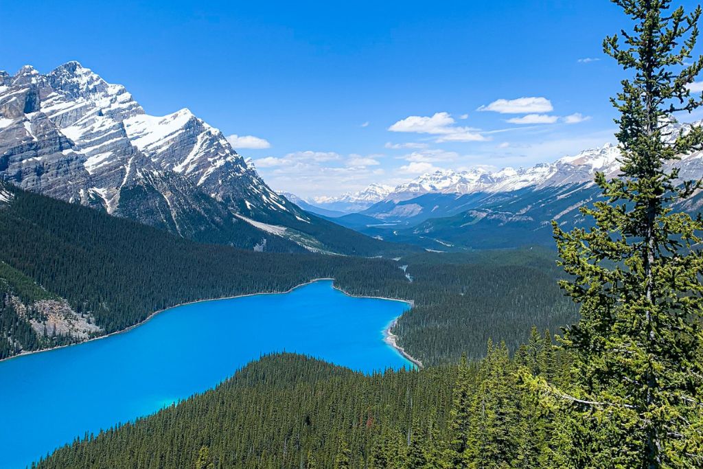 A picture of the ninth in our travel guide to Banff. Peyto Lake is known for its unbelievably blue opaque waters.