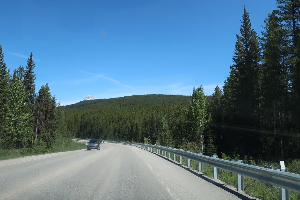 A picture of part of Bow Valley Parkway with lots of green trees surrounding both sides of the road. Taking an ebike tour is a great activity for your 4-Day Banff Itinerary!