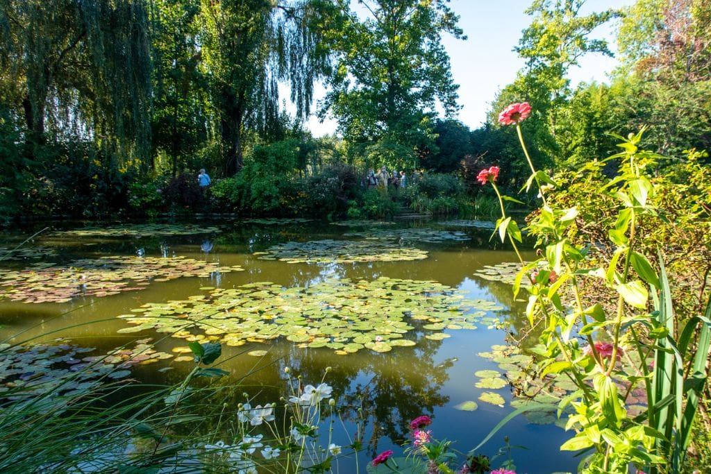 A picture of Monet's Water Lily pond that you can see during a day trip from Paris to Giverny!