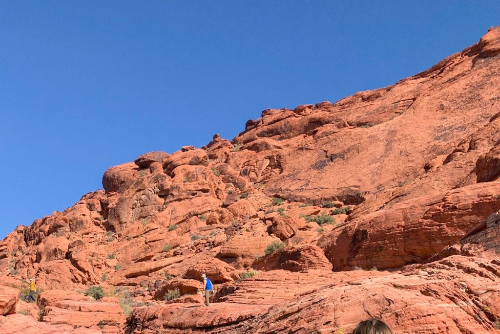 A picture of bright red rocks at Red rocks. Red Rock Canyon Horseback Riding Tours are one of the best ways to see the incredible rock formations up close.