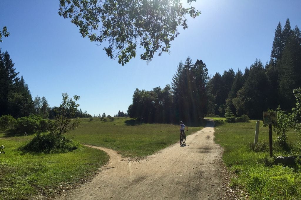 A picture of a bike trail in Santa Cruz.