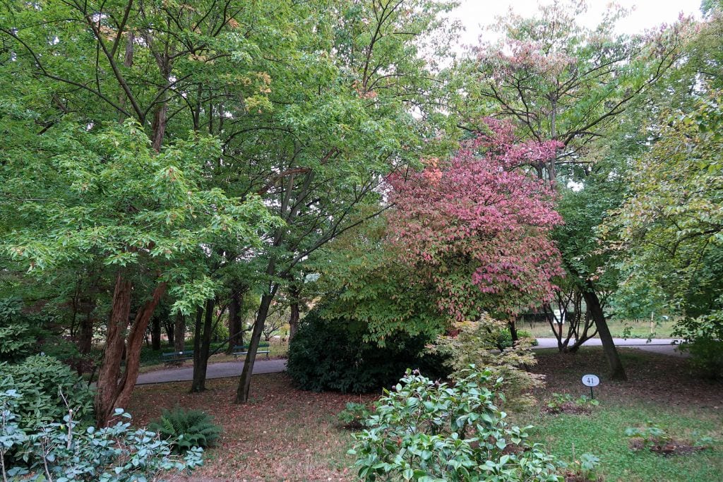 A picture of a park with lots of trees in Zagreb.