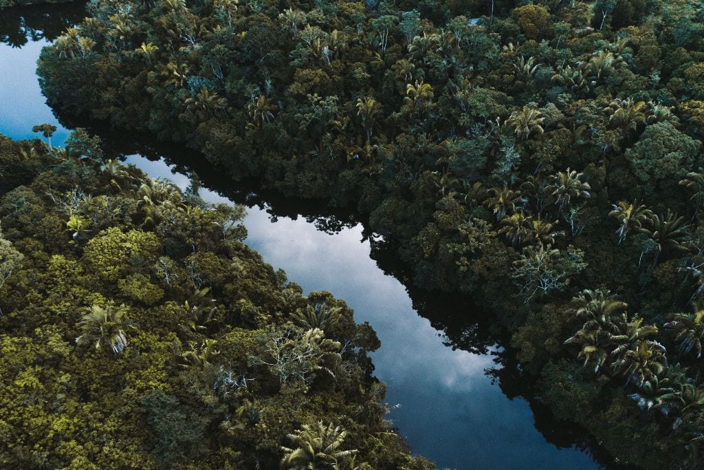 An aerial picture of a rainforest with a river running through. Exploring the Valley of the Latte is one of the best Guam tours to discover about the ancient Chamorro culture.