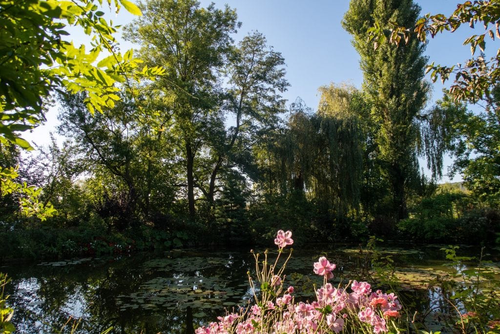 A picture of Monet's lily pond. You can see this iconic view during your day trip from Paris to Giverny.