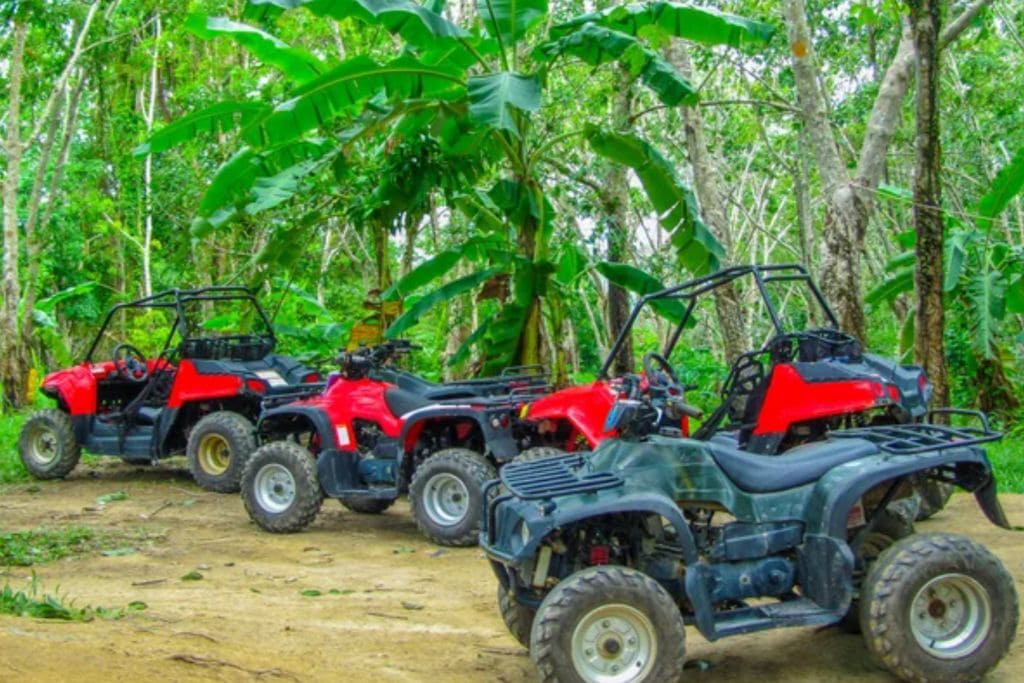 A picture of several red off road ATVs lined up in a jungle. If you're craving an adrenaline rush, try the off roading tours in Guam.