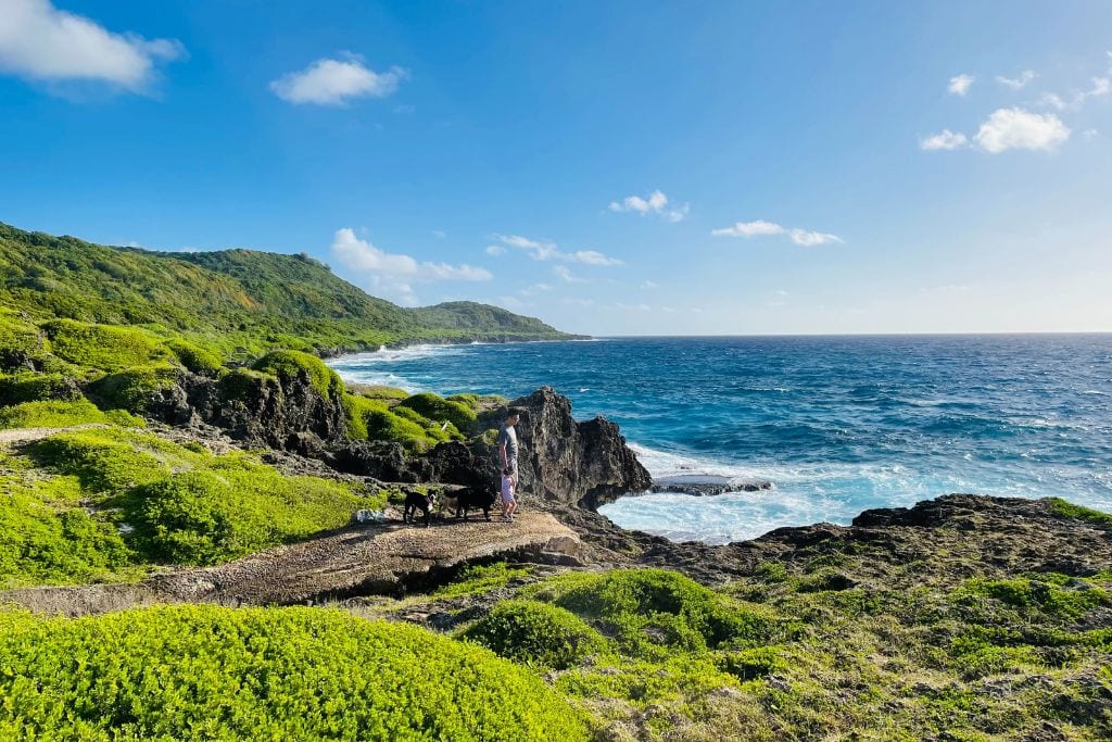 A picture of Guam's stunning coastline with flourishing greenery everywhere.