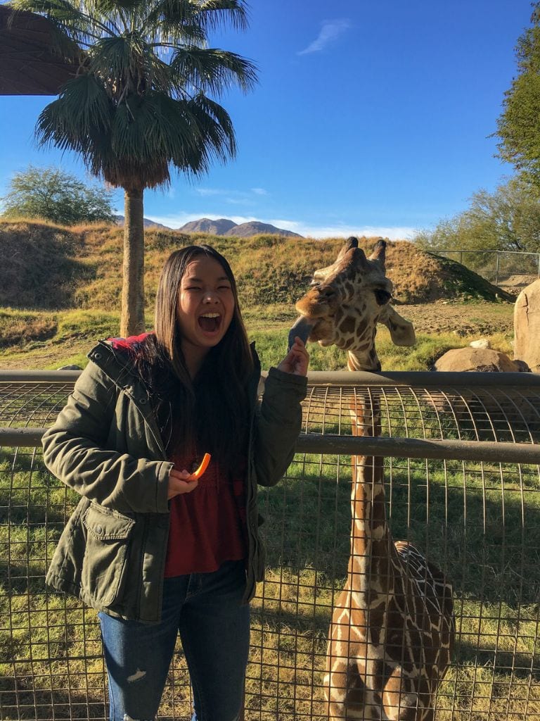 A picture of Kristin feeding a giraffe a carrot at the Living Desert Zoo and Gardens.