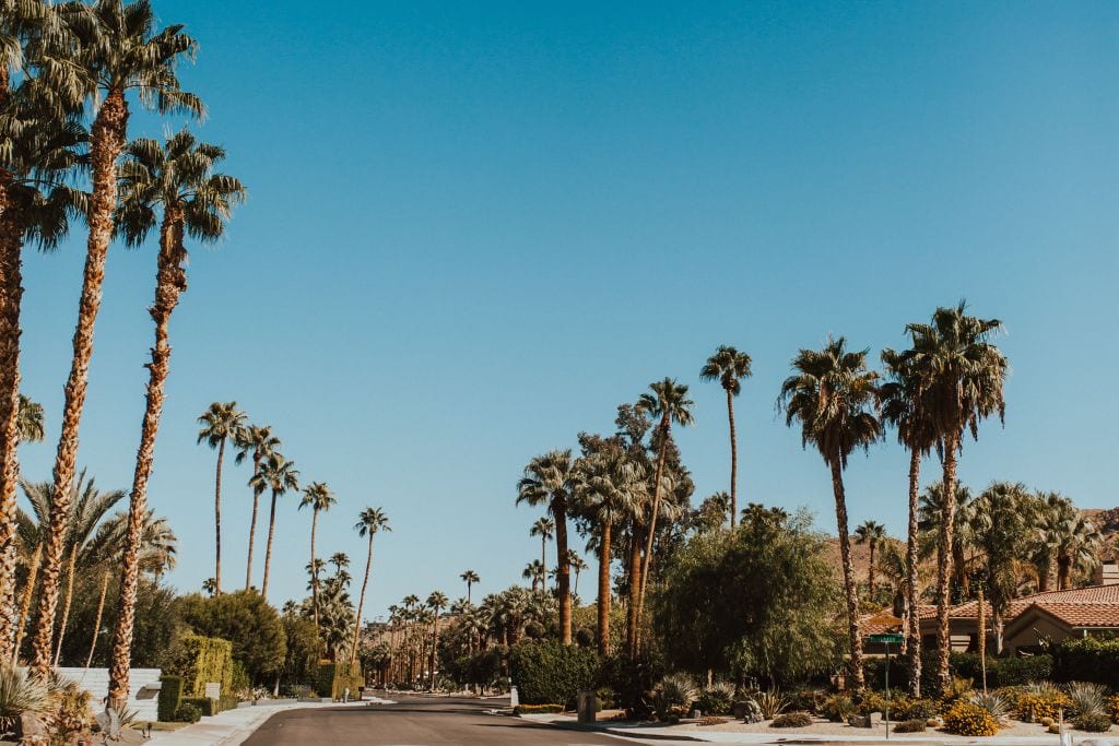 A picture of a residential street in Palm Springs.