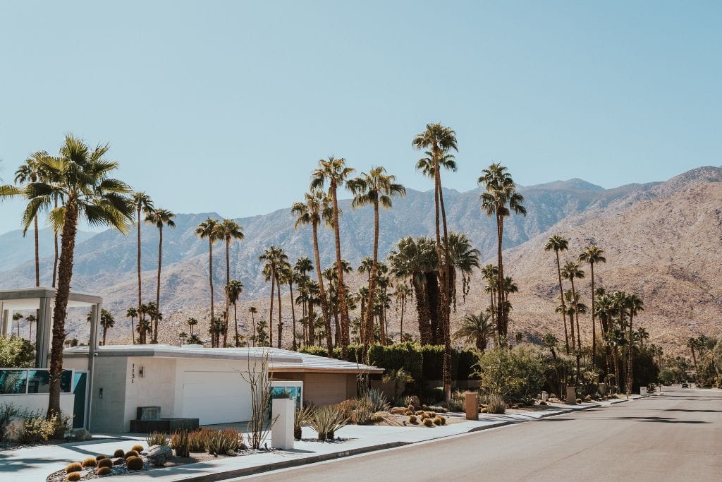 A picture of a nice neighborhood in Palm Springs.