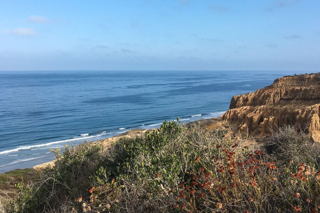 A picture of the coastal bluffs at Torrey Pines Natural Reserve. This is a great area in San Diego to walk, run, or hike!