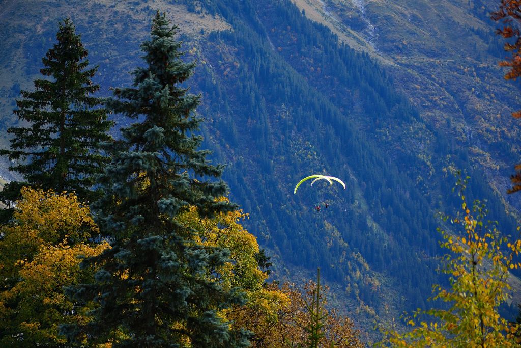 A picture of the two people paragliding in the valley of Lauterbrunnen in Switzerland. There's massive trees in the forefront of the picture!