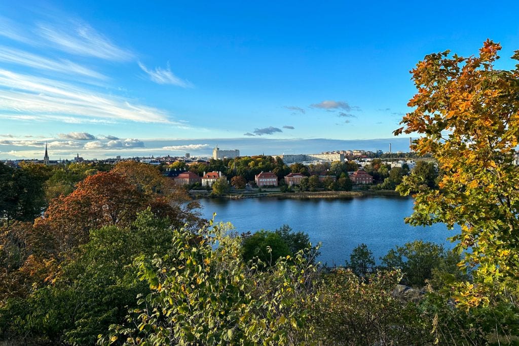 A picture of the beautiful view at Skansen. You can see the lovely fall colors!