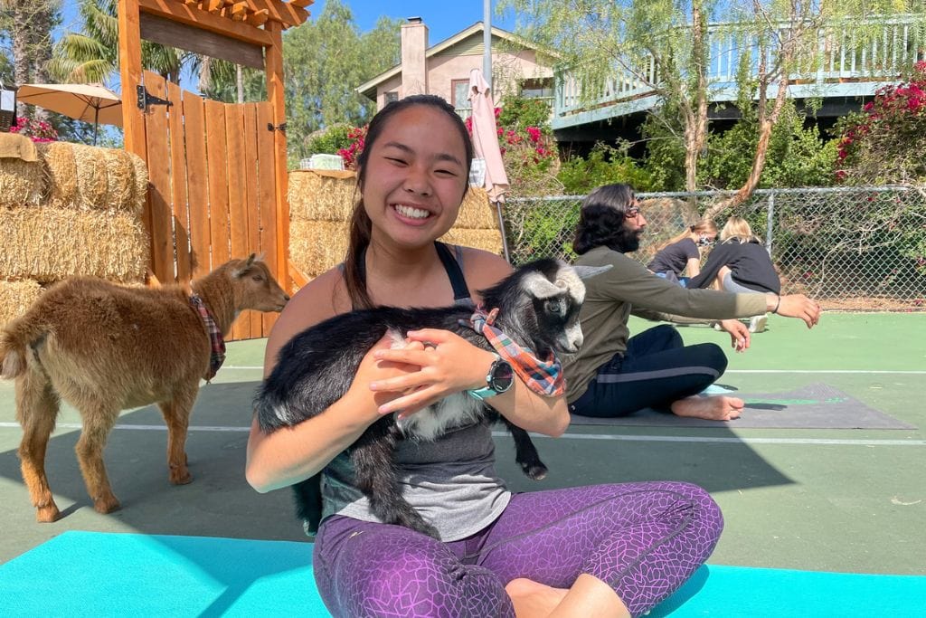 A picture of Kristin holding a baby goat during goat yoga!