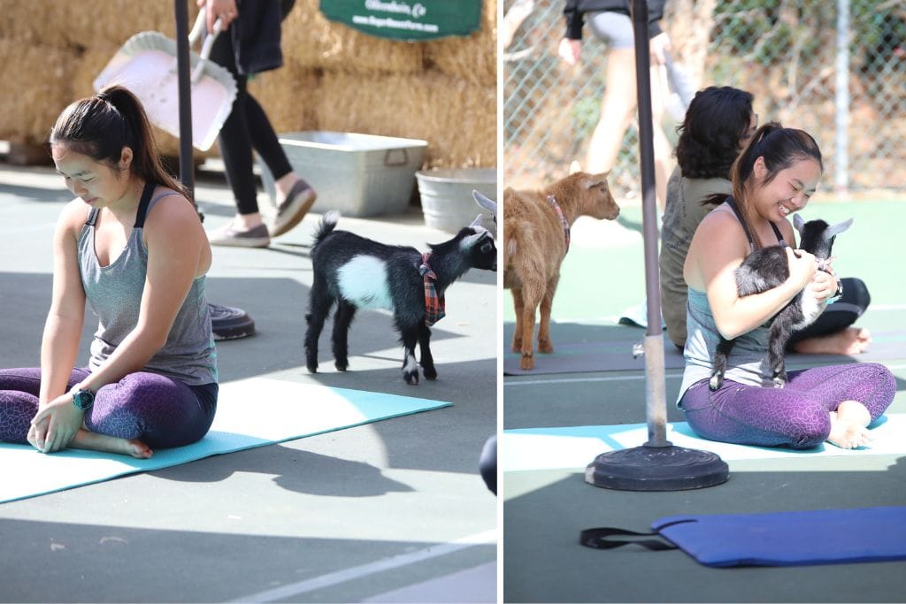 Two pictures. The left picture shows Kristin doing yoga with goats in the background. The right picture shows Kristin holding a baby goat while everyone else does yoga!
