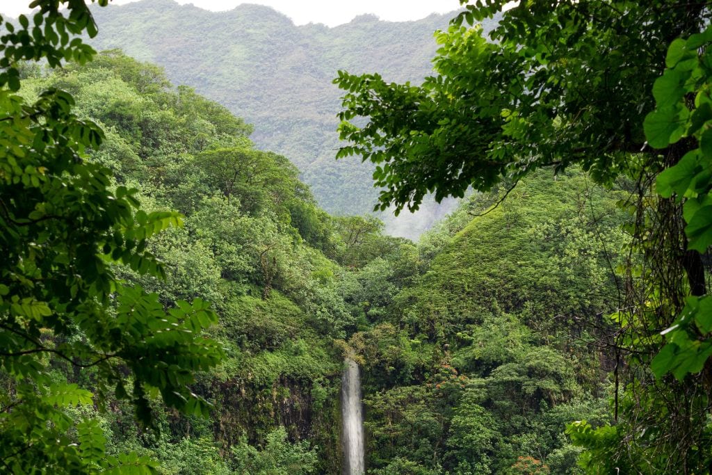 A picture of a waterfall in Tahiti's interior. Take a 4x4 Tahiti tour to see local villages, tons of waterfalls, and the more breathtaking views.