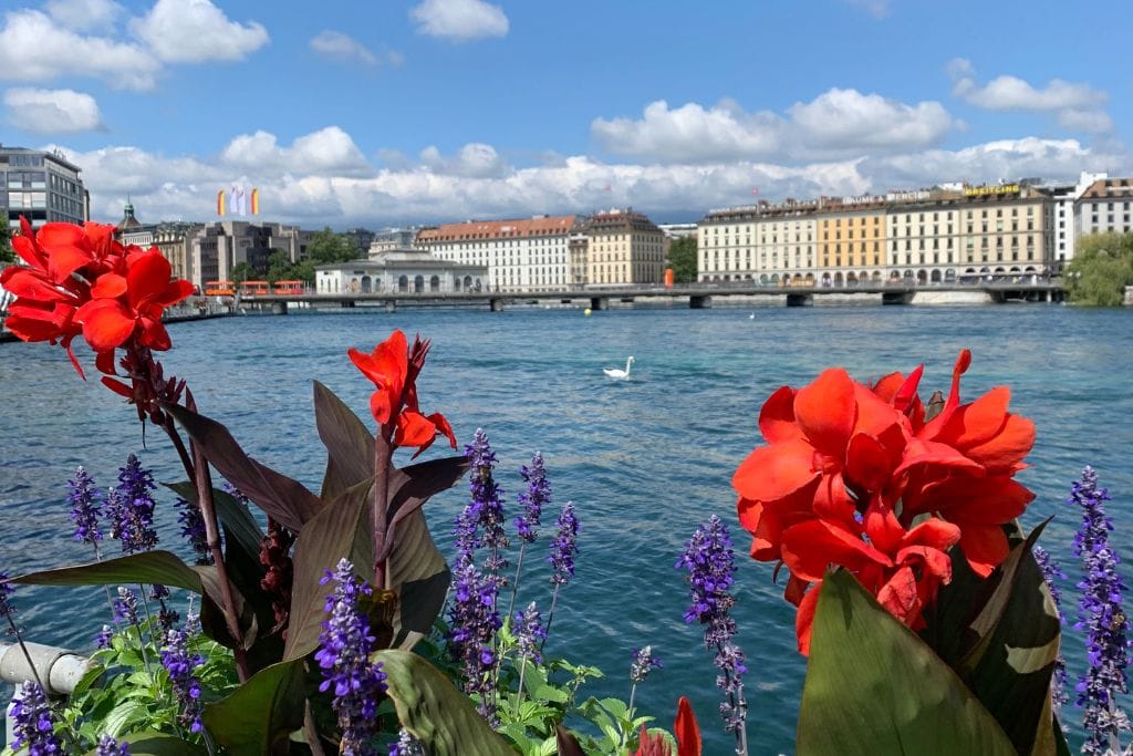 A picture of Lake Geneva with beautiful flowers in the forefront. Geneva is not the capital of Switzerland.