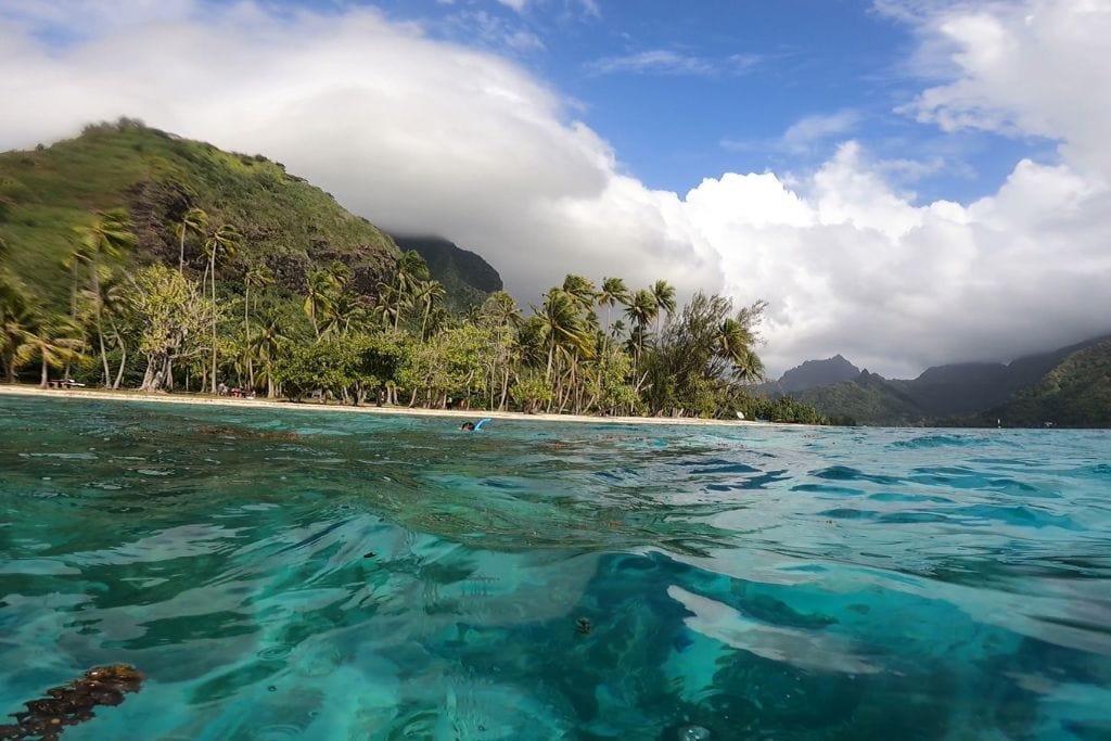 A picture of Moorea taken while snorkeling. Exploring Moorea Lagoon is one of the most popular tour activities in Moorea.