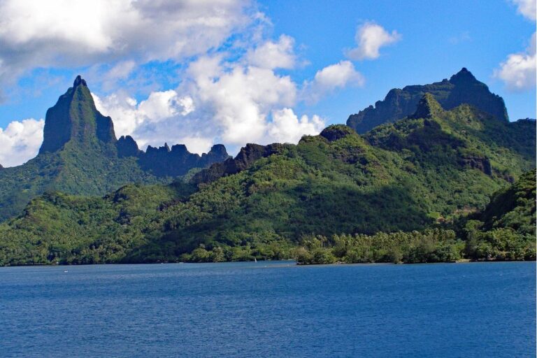 15 Best Moorea Tours & Moorea Excursions to Do in 2024