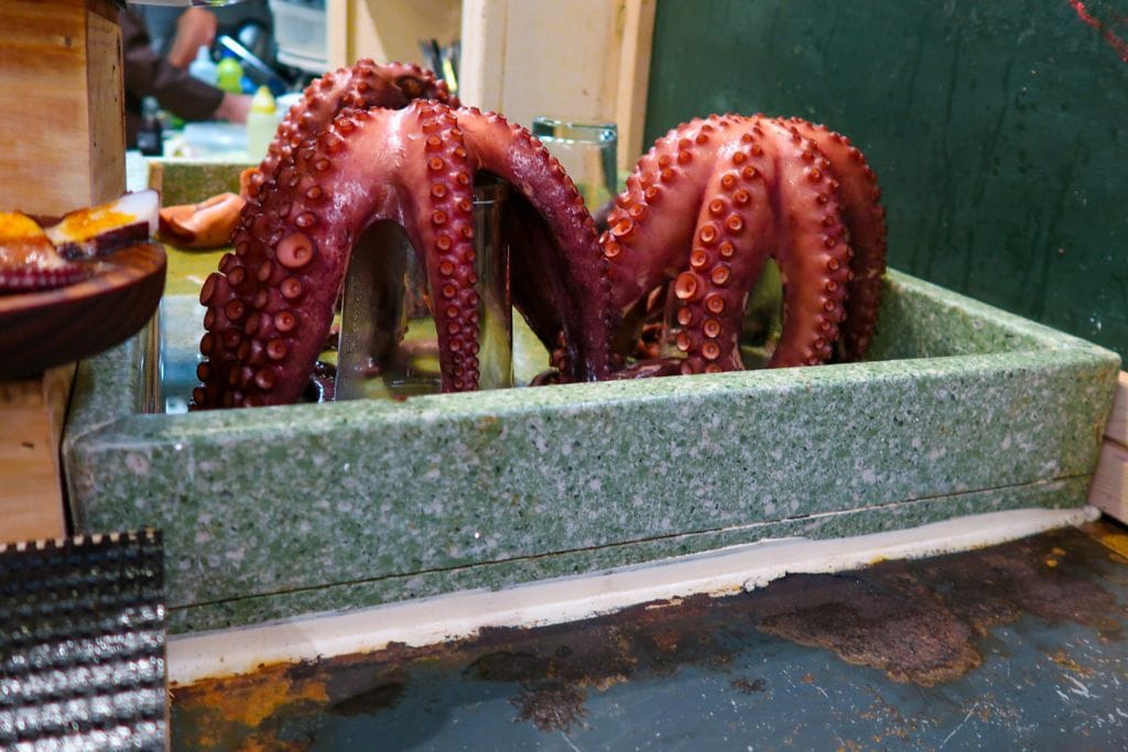 A picture of two red fresh octopus I saw in Mercado de la Ribera. Keep your vacation in Bilbao less expensive by visiting this market for cheap goods!