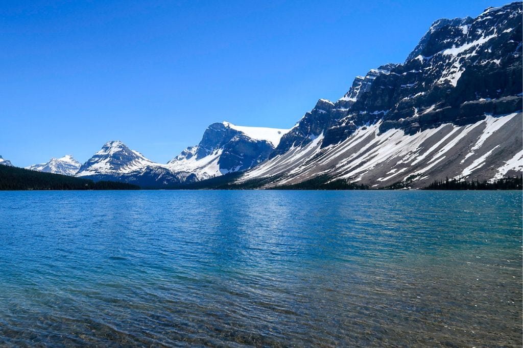 A picture of the beautiful bow lake. The waters are so clear and you should definitely request to stop here if you do one of the private tours from Calgary to Banff.