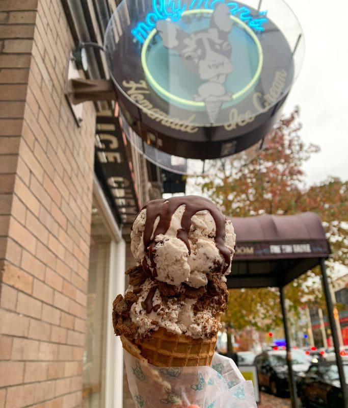 A picture of a decadent ice cream i ordered in Seattle