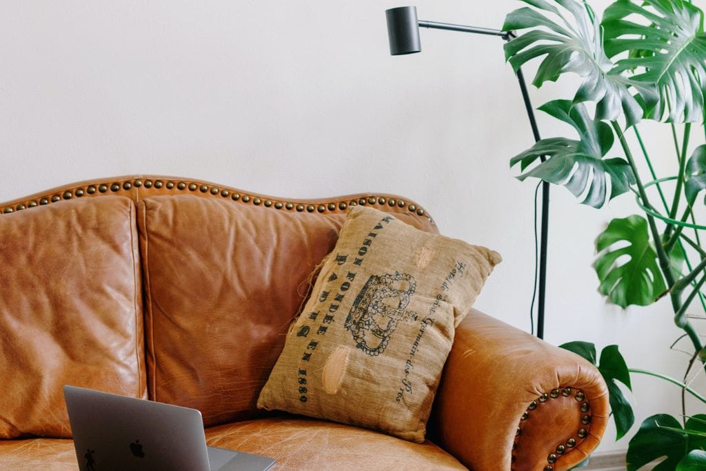A picture of a brown couch with a computer on it and a green plant to the right. 