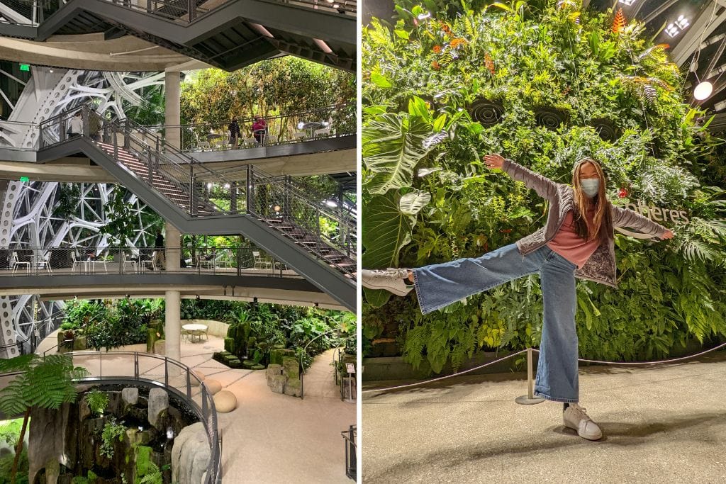 Two pictures taken within the Amazon Spheres in Seattle.