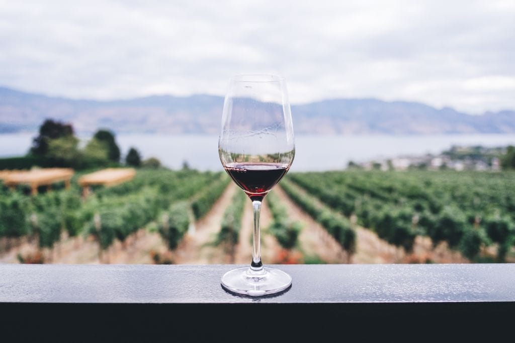 A picture of a wine glass resting on a ledge in front of vineyards.
