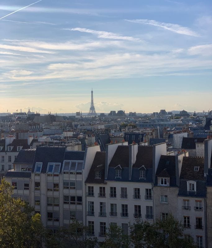 A picture Kristin took from above at the Pompidou in Paris.