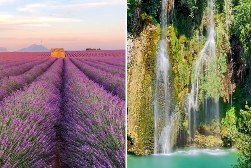 Two pictures. The left side is of the lavender fields in Provence and the right side is Gorges du Loup waterfall.