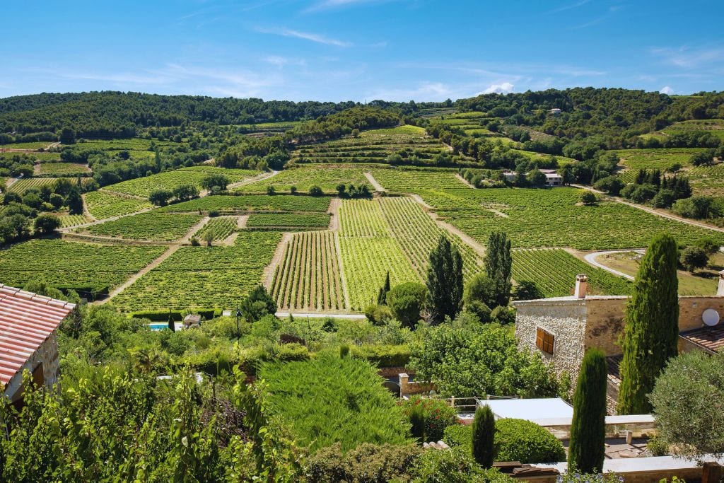 A picture of vineyards in Provence. While food tours in Nice France are great, you can get an even more immersive experience that's wine focused by doing a day trip to the famous Provence region.